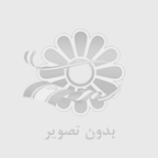 303دوازدهم انساني